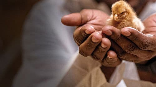 Human Footprint Bild 8