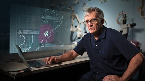 Hai-Alarm im Paradies Bild 5