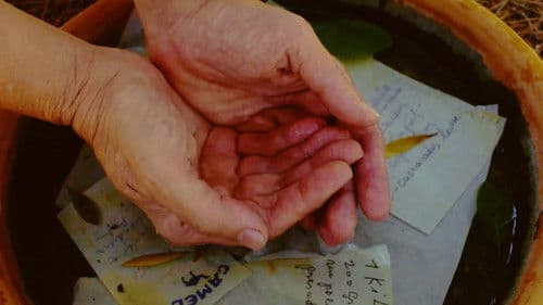 Un jardí de paraules Bild 1