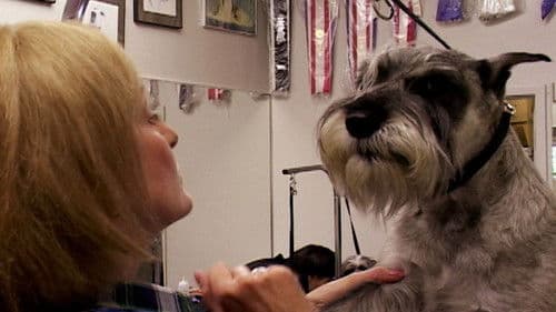 Going to the Dogs Bild 1