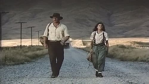 Starlight Hotel Bild 2