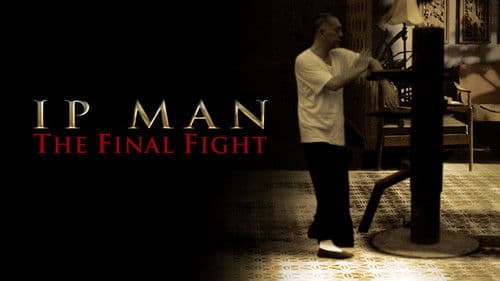 Ip Man - Final Fight Bild 6