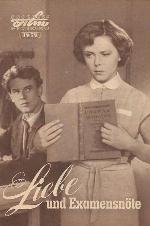 Они встретились в пути