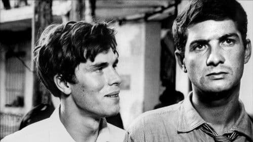 Wir von der Straße Bild 5