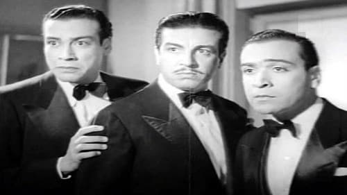 تحيا الستات Bild 1