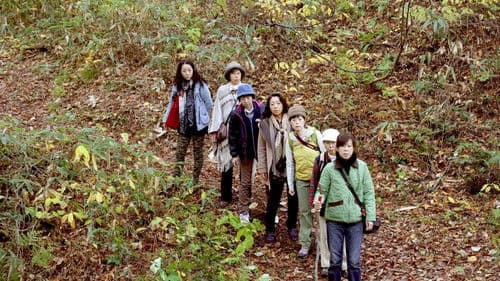 滝を見にいく Bild 2