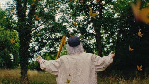 The Way of Seeing Life Bild 2