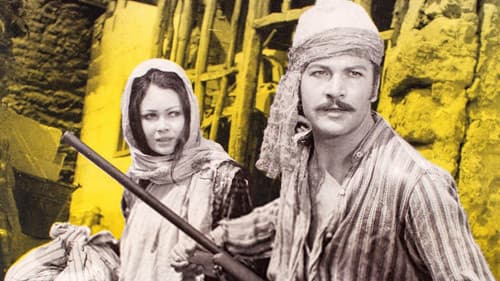 Dağlar Şahini Bild 2