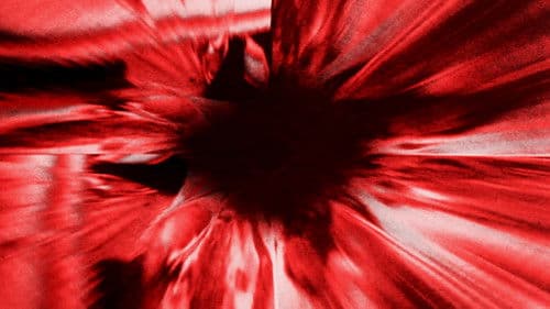 Doctor Who and the Curse of Fatal Death Bild 3