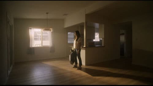 The Metamorphosis Project Bild 2