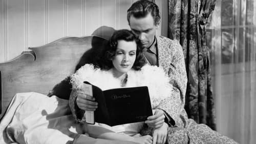 Meet the Stewarts Bild 2