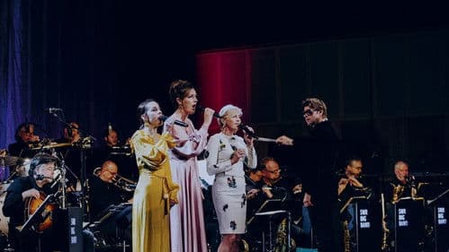 Nordic Voices Bild 1