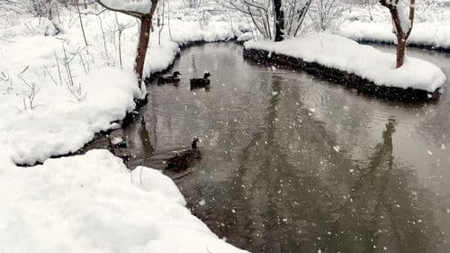 reBUILDING PALANGA Bild 1