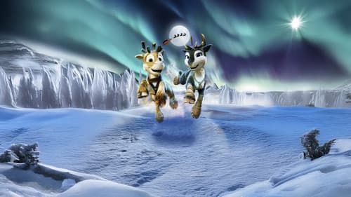 Niko - Reise zu den Polarlichtern Bild 1