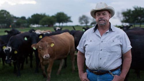 Food and Country Bild 1