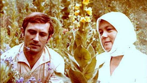 Серед літа Bild 1