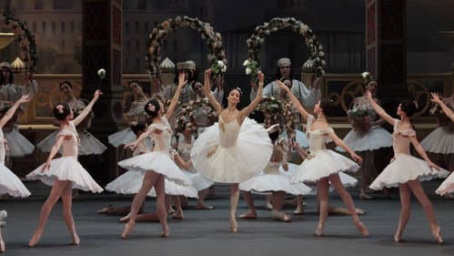 Bolshoi Ballet: Le Corsaire Bild 3