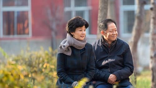 一树桃花开 Bild 1