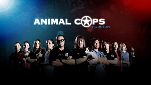 Animal Cops: Houston Bild 3