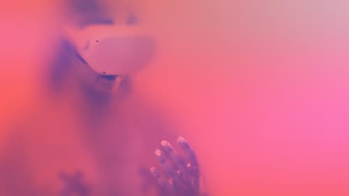 Méta sexe, le documentaire Bild 1