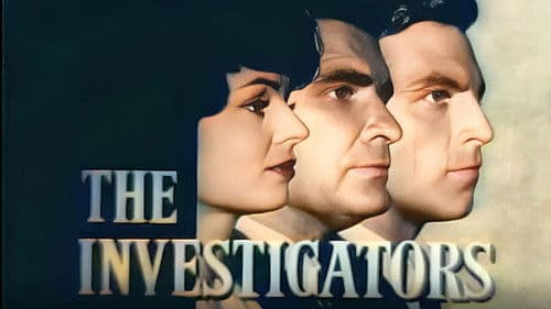 The Investigators Bild 1