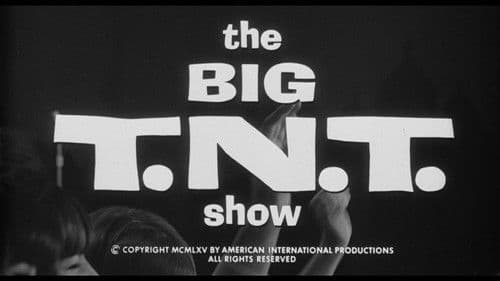 The Big T.N.T. Show Bild 1