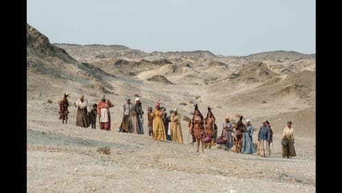 Der vermessene Mensch Bild 4