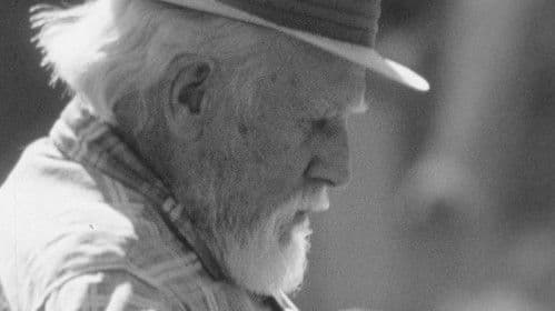 Seems Like Only Yesterday Bild 3