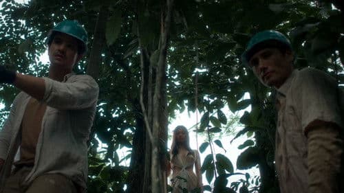 Virgin Forest Bild 7