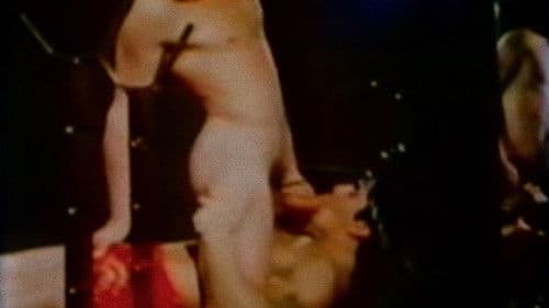 New York City Pro Bild 1