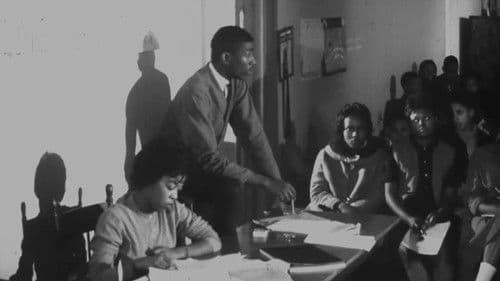 The American Negro Bild 1