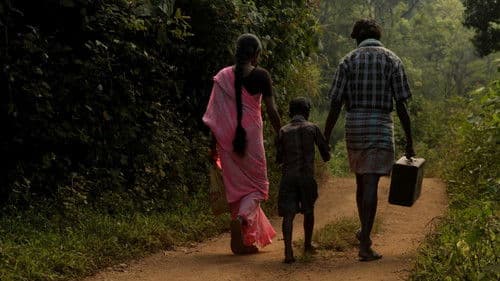 மேற்குத்தொடர்ச்சி மலை Bild 2