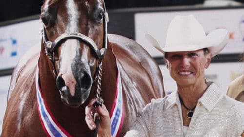 All the Queen's Horses Bild 2