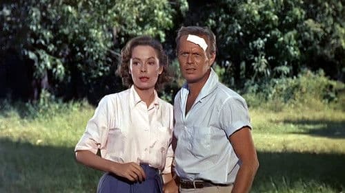 Der Sonne entgegen Bild 2