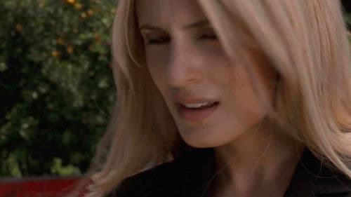 The Scenesters Bild 2