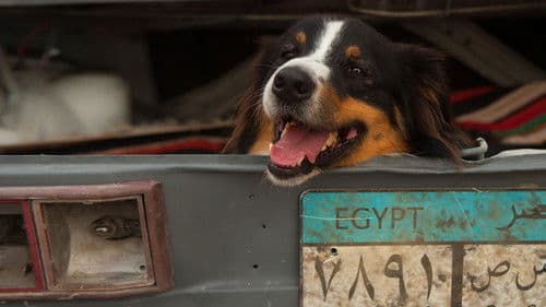 Fünf Freunde 4 Bild 3