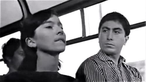 ქორწილი Bild 1