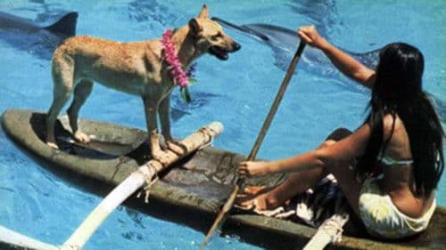 Fratello mare Bild 1