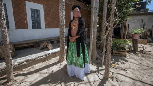 La Utopía de la Mariposa Bild 1