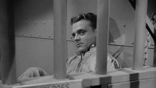 Todesangst bei jeder Dämmerung Bild 4