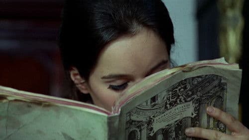 La Madriguera Bild 4