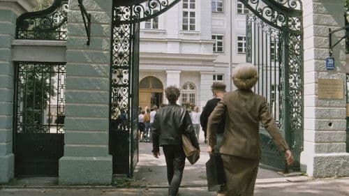 Mama Mia - Nur keine Panik Bild 2