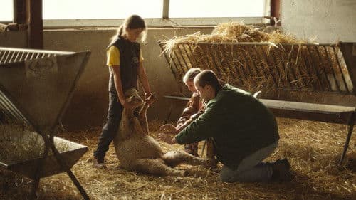 Jacky Caillou Bild 2