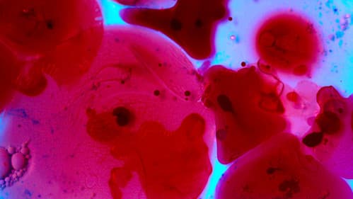 Meu Céu E O Seu Inferno Bild 1