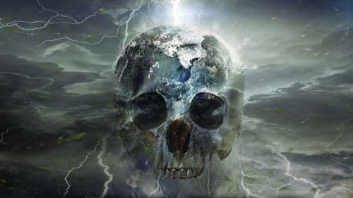 Crystal Skulls Bild 2