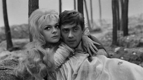 Princezna Pampeliška Bild 1