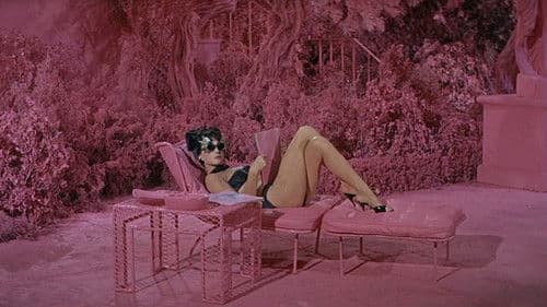 Immer mit einem anderen Bild 1