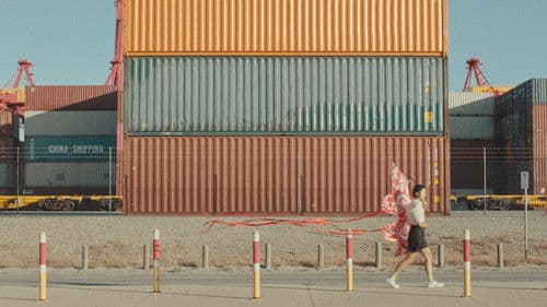 To Fly a Kite Bild 3