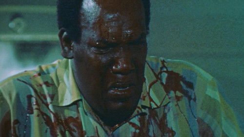 Don't Look in the Basement Bild 5