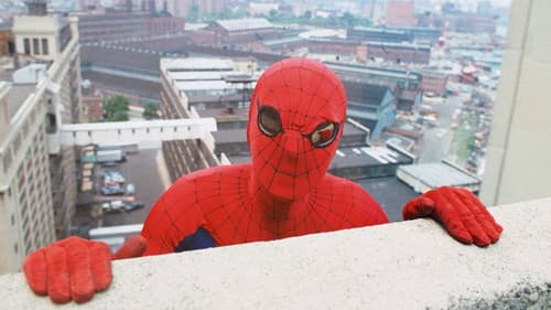 The Amazing Spider-Man Bild 2